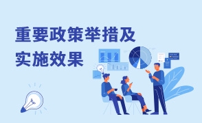重要政策舉措及實(shí)施效果